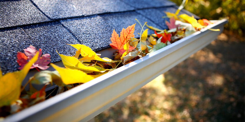 Nettoyage de gouttières