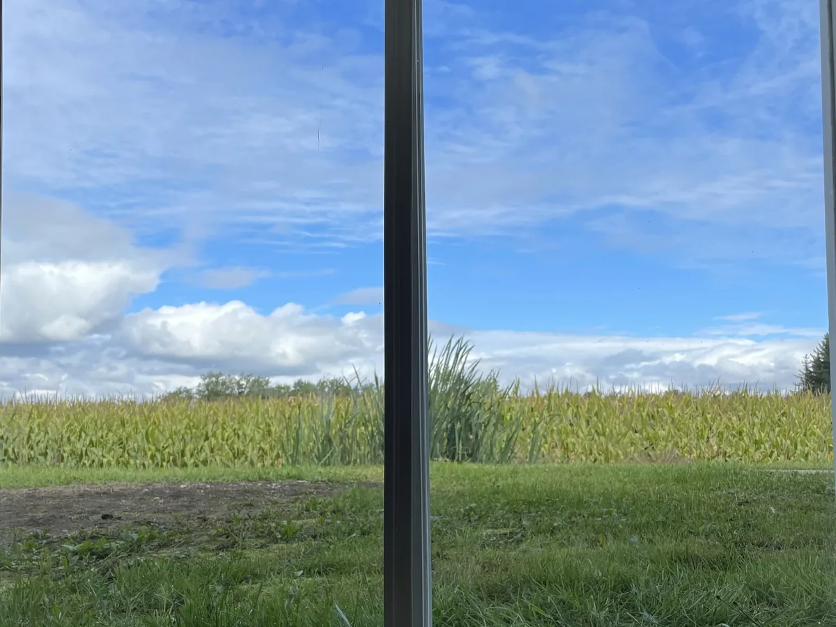 Fenêtres propres après le lavage de vitres, sans traces