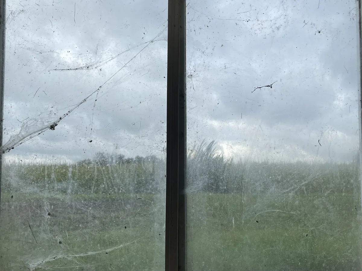 Fenêtres sales avant le lavage de vitres sur la Rive-Sud